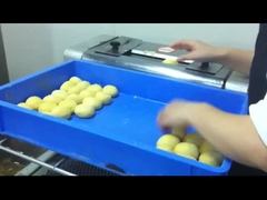 El motor de la tostadora eléctrica CG-38